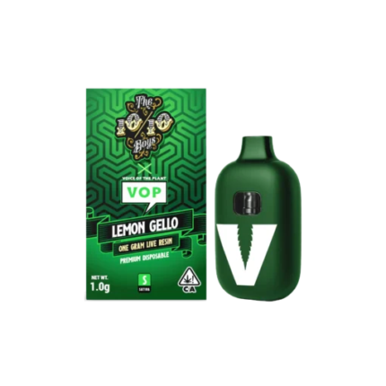 1010 Boys Lemon Gello